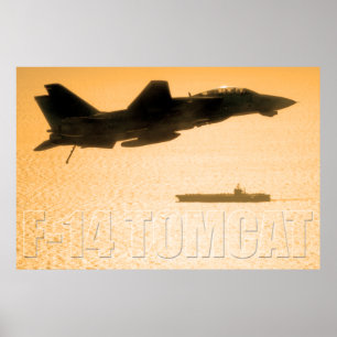 PÓSTER F-14 TOMCAT