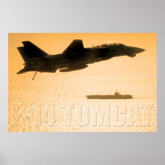 PÓSTER F-14 TOMCAT (Frente)