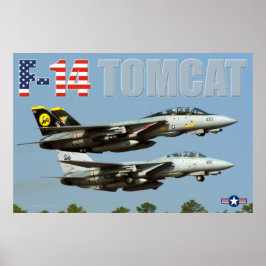 PÓSTER F-14 TOMCAT