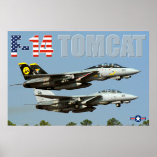 PÓSTER F-14 TOMCAT