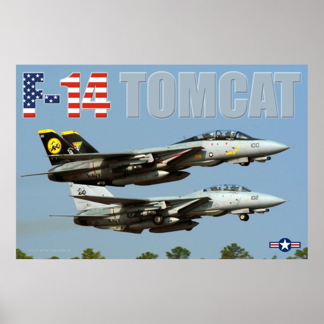 PÓSTER F-14 TOMCAT (Frente)