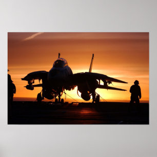 Póster F-14 Tomcat