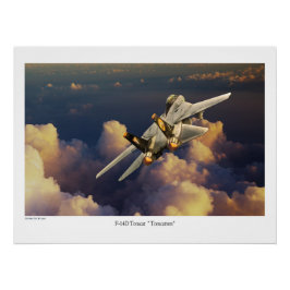Póster F-14 Tomcat