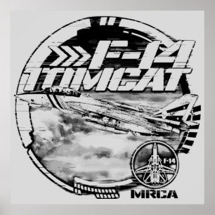 Póster F-14 Tomcat