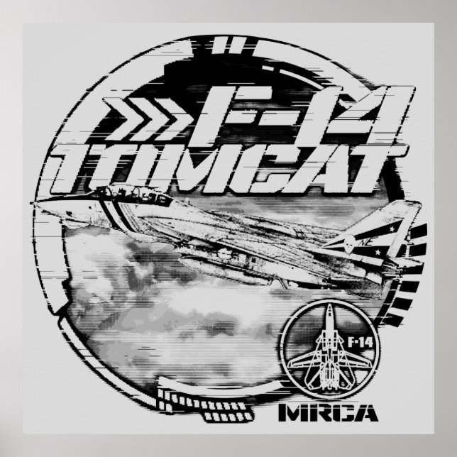 Póster F-14 Tomcat (Frente)