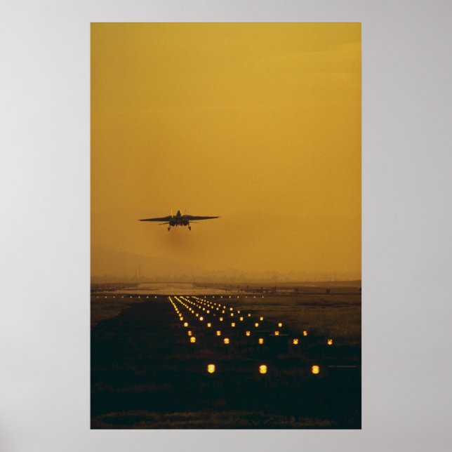 Póster F-14 "Tomcat" (Frente)