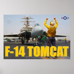 PÓSTER F-14 TOMCAT