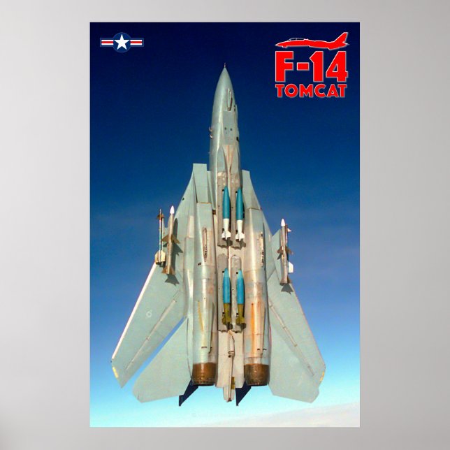 PÓSTER F-14 TOMCAT (Frente)