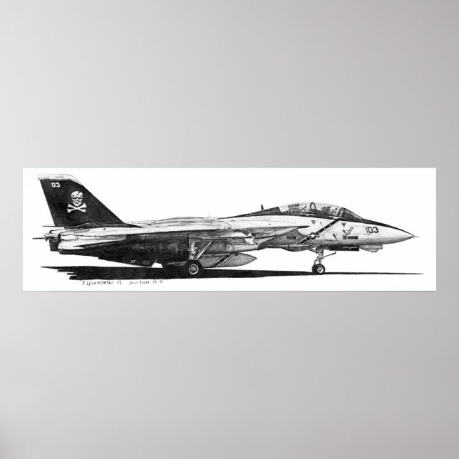 Póster F-14 Tomcat - Poster (Frente)