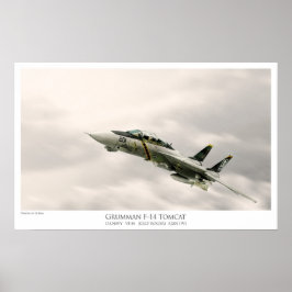 PÓSTER F-14A TOMCAT VF-84 JOLLY ROGERS