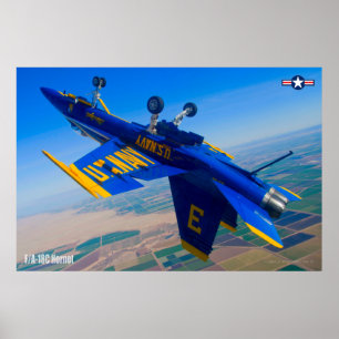 PÓSTER F/A-18C HORNET