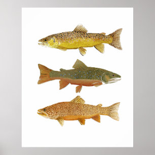 Póster Fabricación de un tigre