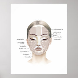 Póster Face Anatomy Beauty Art