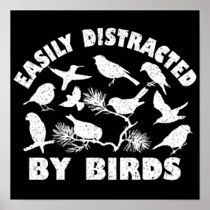 Póster Fácilmente Distrado Por Las Aves