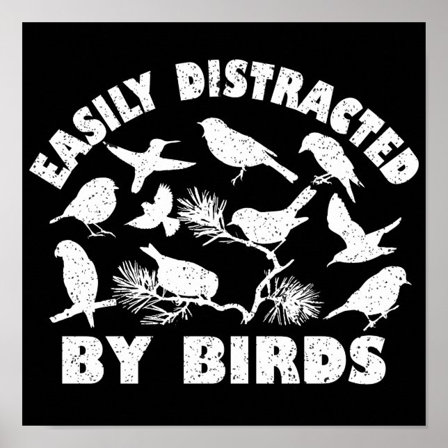 Póster Fácilmente Distrado Por Las Aves (Frente)