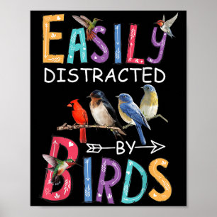 Póster Fácilmente Distraído Por Aves Aves Divertidas