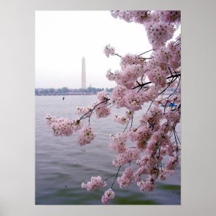 Póster Faded Memories