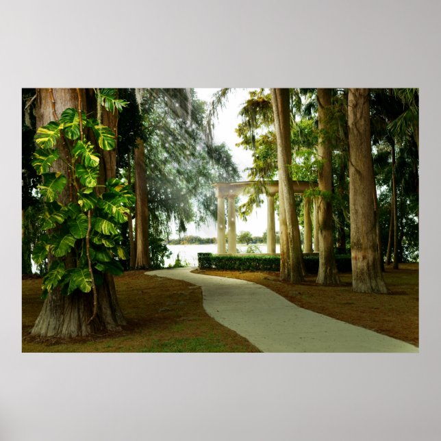 Póster Faerie Light (Frente)