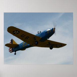 Póster Fairchild PT-19 Cornell