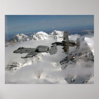 Póster Fairchild-Republic A-10 Warthog