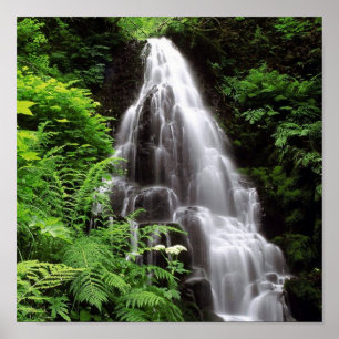 Póster Fairy Falls