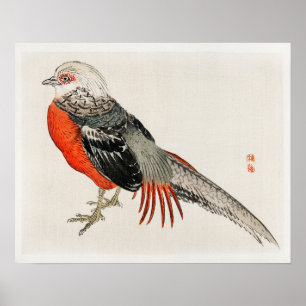 Póster Faisán japonés de Kōno Bairei (1844-1895)