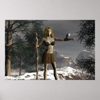 Póster Falcon Heights