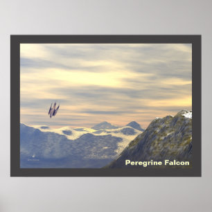 Póster Falcon peregrino de velocidad de terminal