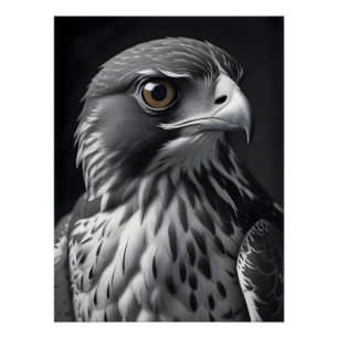 Póster Falcon Wildlife Majestic Nature Life Wallpaper