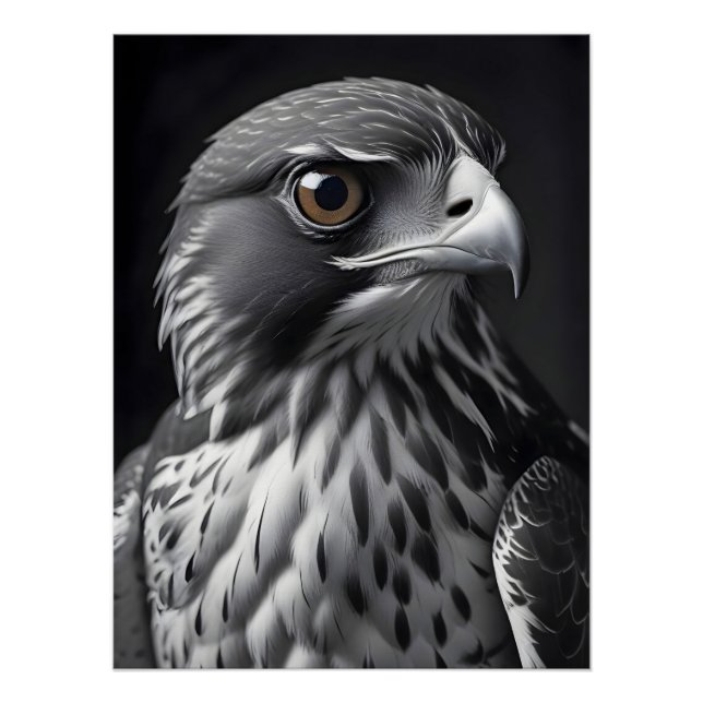Póster Falcon Wildlife Majestic Nature Life Wallpaper (Anverso)