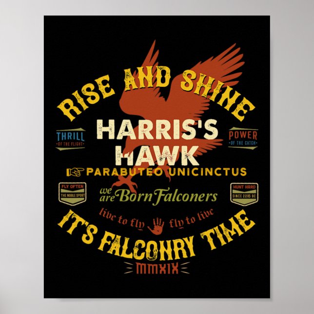 Póster Falconería Hawk Diseño Suministros de Falconería H (Frente)