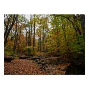 Póster Fall Creek en Laurel Hill State Park Pennsylvania