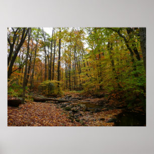 Póster Fall Creek en Laurel Hill State Park Pennsylvania