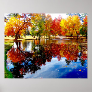 Póster Fall foliage at the pond