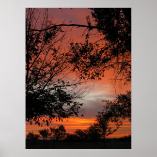 Póster Fall Sunrise