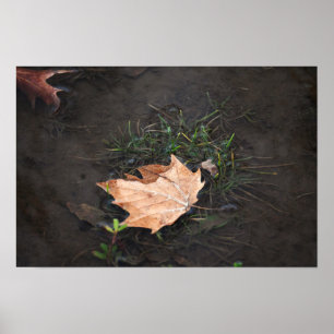 Póster Fallen Leaves Poster