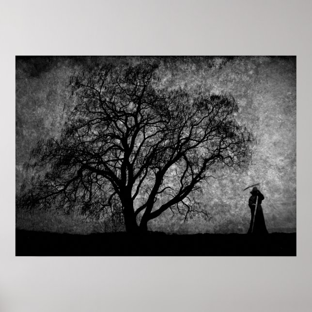 Póster Falln Grim Reaper Boundaries Original Art Entre (Frente)