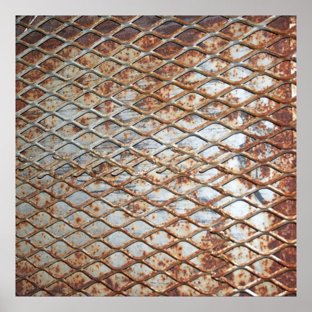 Póster Falln Rusty Grate (Frente)