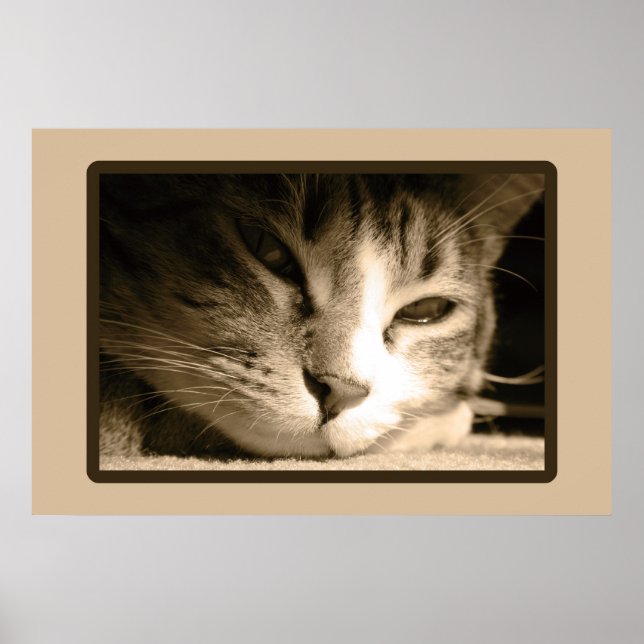 Póster Falta (Frente)