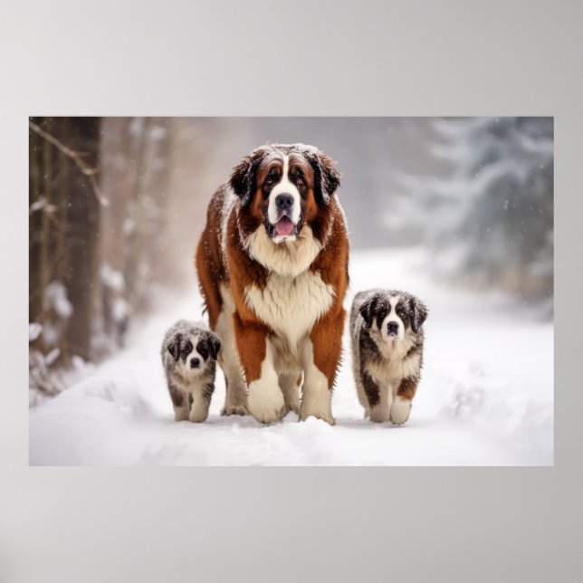 Póster Familia animal de perro Mascota de San Bernardo (Frente)