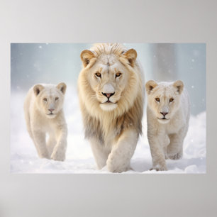 Póster Familia animal leona la naturaleza