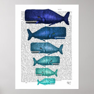 Póster Familia ballena azul