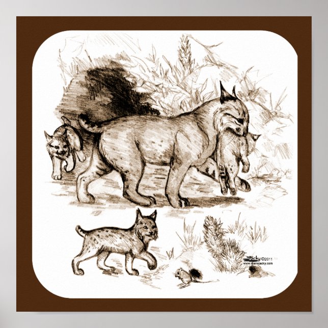 Póster Familia Bobcat (Frente)