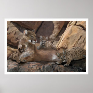 Póster Familia Cougar