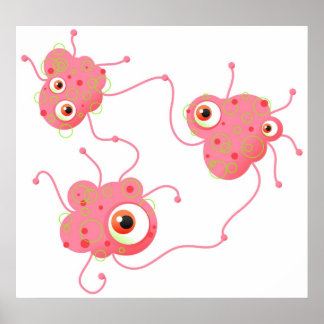 Póster Familia de bacterias