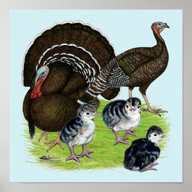 Póster Familia de Bronce Estándar de Pavo (Frente)