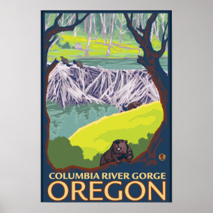 Póster Familia de castores - desfiladero del río Columbia