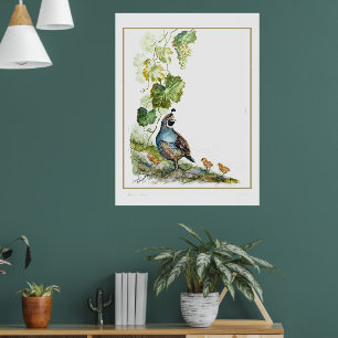Póster Familia de codornices de California con acuarela o