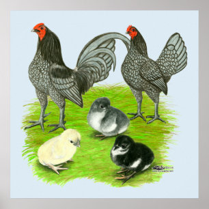 Póster Familia de juegos azul inglesa antigua