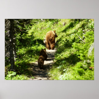 Póster Familia de oso marrón